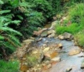 BÁN ĐẤT VƯƠN NGHỈ DƯỠNG
