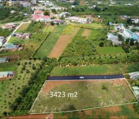 Bán đất mặt tiền