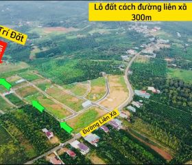 Bán đất xào tại đại lào