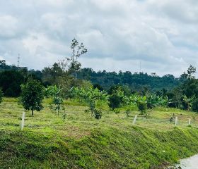BÁN ĐẤT VƯƠN NGHỈ DƯỠNG