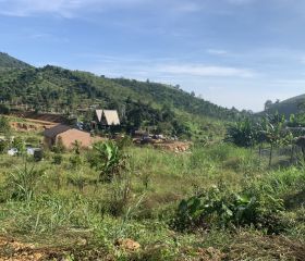 Bán đất nghỉ dường thôn 12 Lộc thành