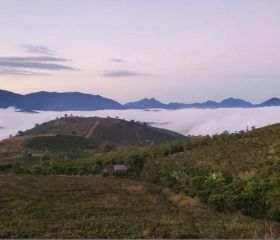 BÁN ĐẤT SÀO