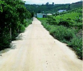 BÁN ĐẤT CÓ THỔ CƯ