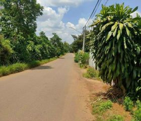 BÁN ĐẤT LÂM ĐỒNG b