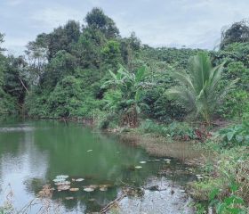 BÁN ĐẤT VƯƠN NGHỈ DƯỠNG