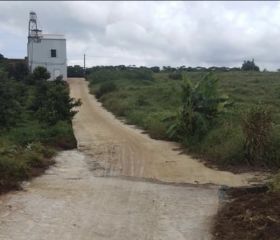 BÁN ĐẤT MẶT TIỀN4