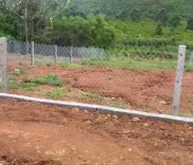BÁN ĐẤT CÓ THỔ CƯ