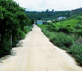 BÁN ĐẤT NỀN