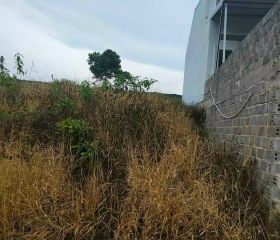 BÁN ĐẤT THỔ CƯ