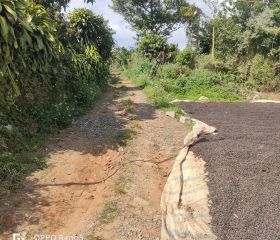 BÁN ĐẤT MẶT TIỀN 2