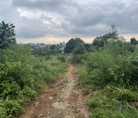 BÁN ĐẤT CÓ THỔ CƯ