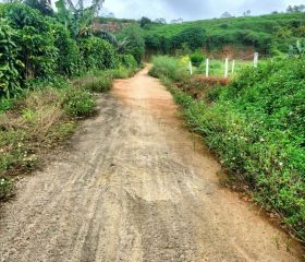 BÁN ĐẤT MẶT TIỀN