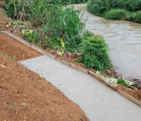 BÁN ĐẤT SÀO