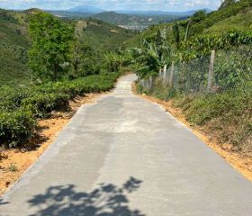 BÁN ĐẤT SÀO