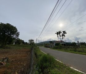 BÁN ĐẤT SÀO
