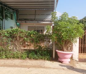 BÁN ĐẤT SÀO