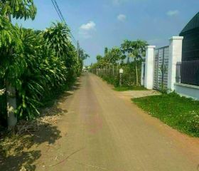 Bán đất hẻm Phùng Hưng lt