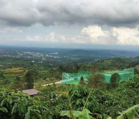 bán  lô đất tại tp bảo lộc