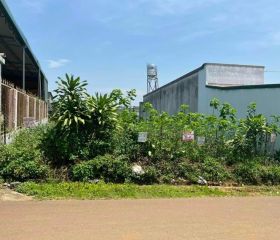 BÁN ĐẤT CÓ THỔ CƯ