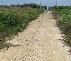 BÁN  ĐẤT LÔ