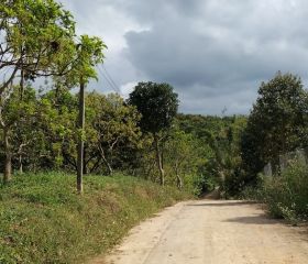 Bán đất xào thôn 6 Tân lạc