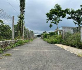 BÁN ĐẤT MẶT TIỀN12