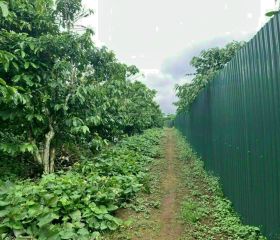 BÁN ĐẤT LÂM ĐỒNG